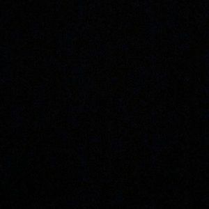 Meet your Posher, Lilo